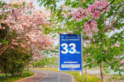 花香伴湖风，奔跑正当时！2026云南白药石屏异龙湖马拉松鸣枪开跑