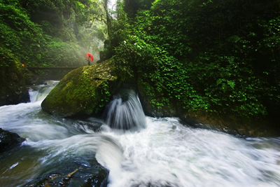 五一“嗨”游玉溪｜哀牢山吃住玩全攻略请收藏！