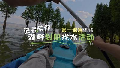 五一“嗨”游玉溪｜江川星云湖西岸热闹开玩！