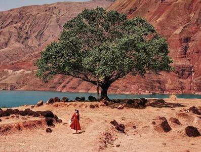 打卡地上新！元谋“金沙江秘境”悄悄火了，户外旅游就选它