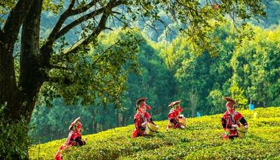 五一“嗨”游玉溪｜畅游峨山，这份攻略请收藏！