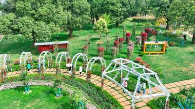 一路春光引客来！楚雄州清明假期接待游客93.49万人次