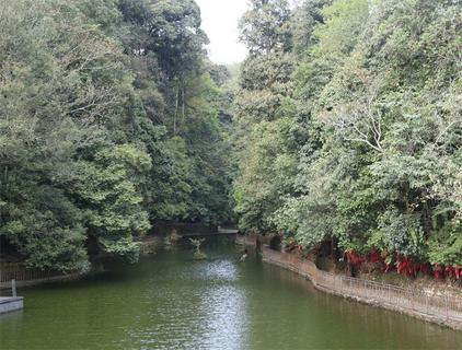 【记者手记】滇南旅居：不止有乡愁可寄，更有创想可追