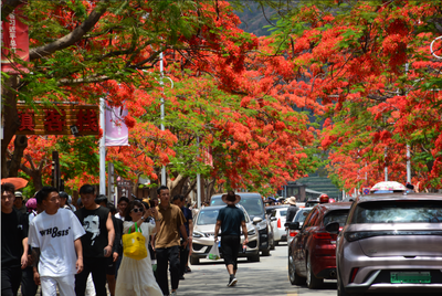五一“嗨”游玉溪｜精品旅游线路推荐——“玉”见繁花浪漫之旅