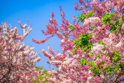 4月18日，红河主场迎曲靖，一江两岸同燃热血！