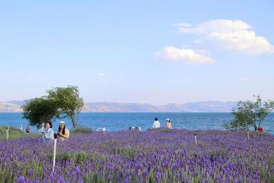 五一“嗨”游玉溪｜精品线路推荐——乐动仙湖青春之旅