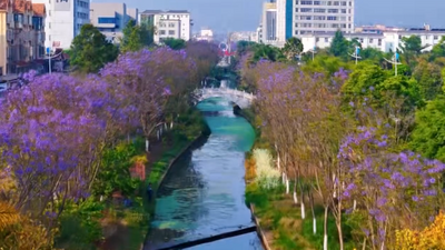 五一“嗨”游玉溪｜风起满城柔，紫雾漫江川！