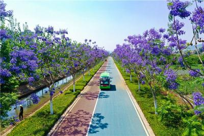 不止红与蓝！解锁红河专属Color Walk