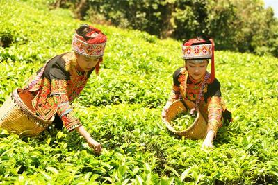 不止红与蓝！解锁红河专属Color Walk
