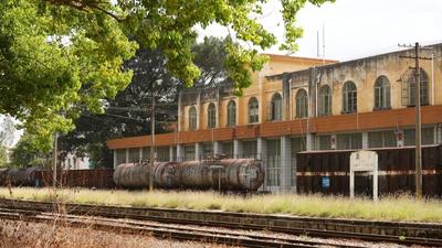 五一“嗨”游玉溪｜华宁：这片百年香樟林，藏着滇越旧时光