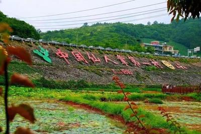 文山亮相“滇南最美乡愁之旅”推介会：邀您探秘“三七之乡” 邂逅喀斯特乡愁 