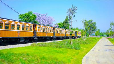 四月，来红河赴一场花事