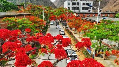 五一“嗨”游玉溪丨这些打卡点藏着玉溪最温柔的夏天！