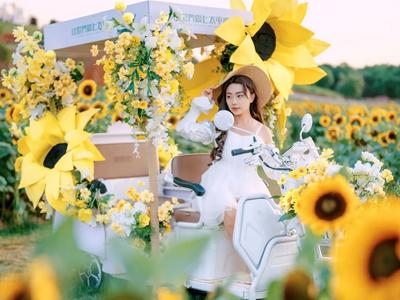 五一·弥勒见丨花海、音乐会、烟花秀、篝火打跳……这份快乐指南请查收！