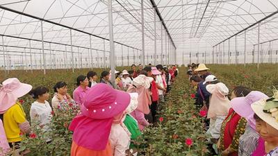 楚雄姚安：让更多困难群体感受到就业创业的“小城温度”