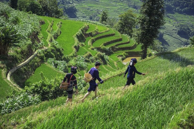 5·19中国旅游日丨跟着攻略，游夏日红河！
