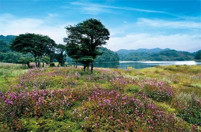 自驾必去！奔赴双柏九天湿地，邂逅一路治愈系风景