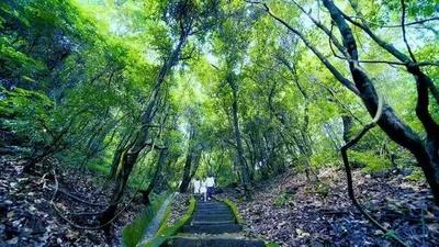 17℃的夏天，永仁方山才是真正的避暑舒适区