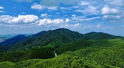 温润玉溪 旅居福地丨江川谷堆山，等你来“氧”生！
