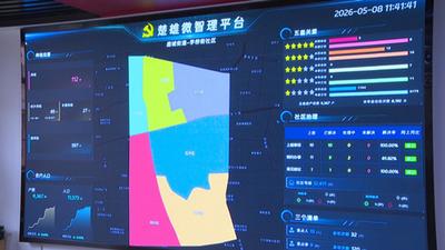 楚雄市：党建引领暖“新” 服务赋能共治