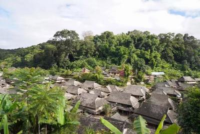 纵五·古道秘境丨澜沧自驾，重走茶马古道，感受茶乡民族风情