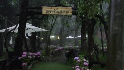 楚雄“夏凉菌香”已上线，你的快乐请签收！