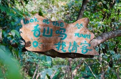 西盟咖啡旅行地图：这5杯“山水特调”，藏着佤山的诗与远方