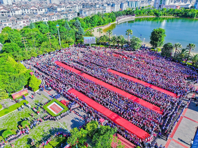 心之所向：牟定三月会的集体精神归赴