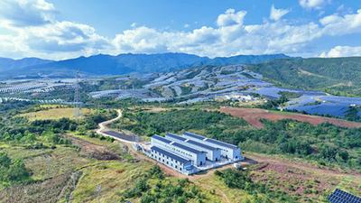 楚雄永仁：蚕桑产业提质扩规 助力群众稳步增收