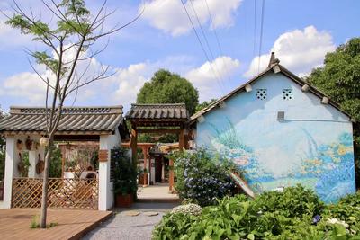 打卡玉溪100家小店｜小明的院子——藏在城市近郊的“莫奈花园”