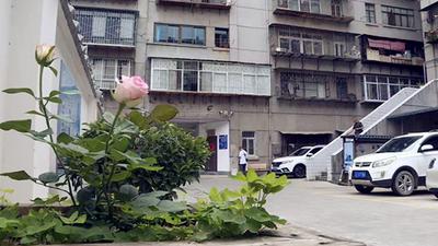 楚雄市：创新“三位一体”物业治理新模式 激活基层治理暖心动能