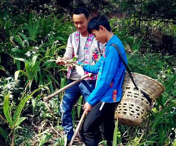 楚雄南华：药香润乡野 人才兴非遗