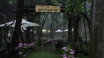 乐不思“暑”，只思狮子山！森系民宿+花海咖啡的夏天值得奔赴