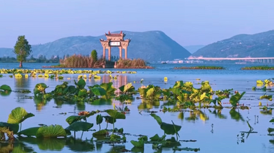 休闲玉溪 纯净之地丨江川：星云湖畔觅夏凉