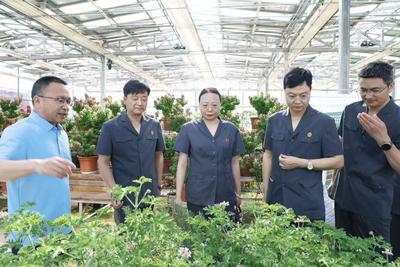 楚雄州法院“绿小法·守护朝夕”品牌深耕“一老一小”权益司法保护