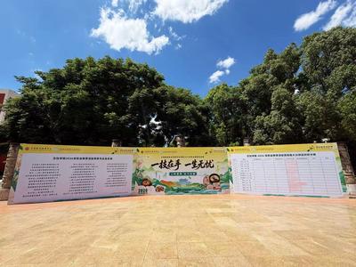 云南旅游职业学院2026年职业教育活动周侧记
