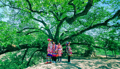 楚雄这些诗意乡村，小众、清凉、有风情，夏天必去！