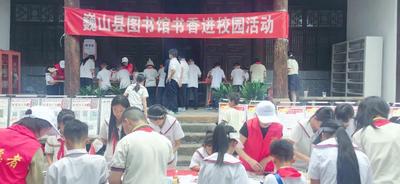 巍山县图书馆开展“六·一”书香进校园活动