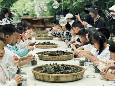 来玉溪“趣”研学丨抚仙湖生命起源探秘之旅