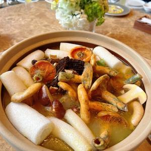 湖景山野食菌季开席 邂逅云南山野时令鲜