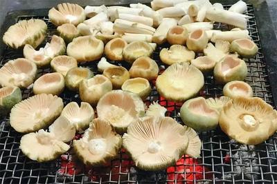 夏凉菌香游云南丨湖风配鲜菌，逛吃游玩一整夏