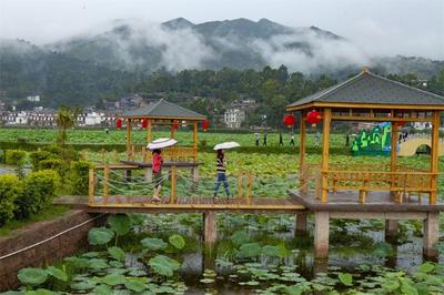 夏日避暑，住进楚雄这些山野民宿，听风、观星、品茗……
