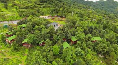 夏日避暑，住进楚雄这些山野民宿，听风、观星、品茗……