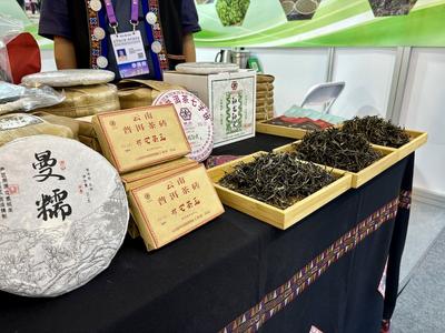 云茶+云咖，“左手咖啡右手茶”闪耀南博会