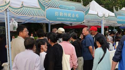 红河非遗正青春！红河州2026年文化和自然遗产日主会场活动在屏边举办