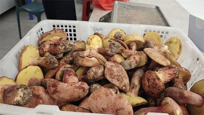 云南南华：头水野生菌走俏市场