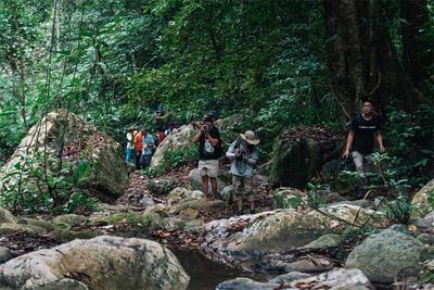 在北纬21°遇见幸福  “有一种叫云南的生活”文旅推广走进西双版纳