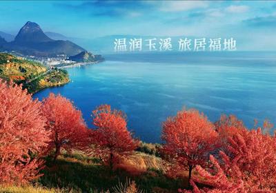 南博会玉溪文旅展厅精彩抢先看
