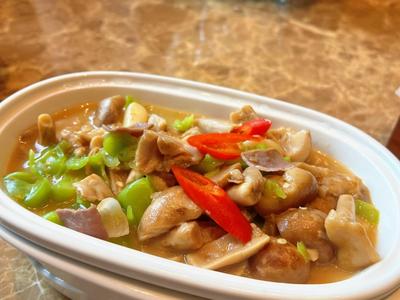 湖景山野食菌季开席 邂逅云南山野时令鲜