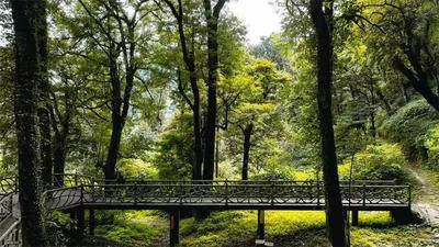 毕业旅行来怒江丨泸水线路推荐